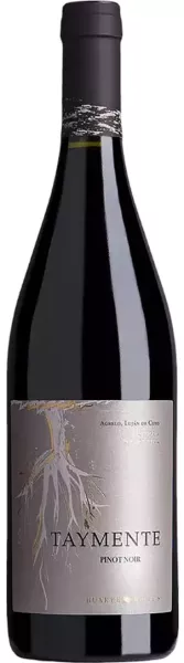 Huarpe Taymente Pinot Noir