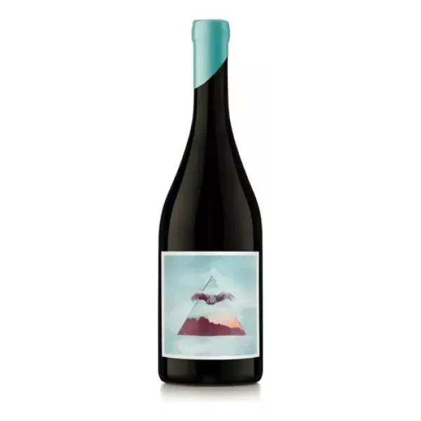 Nodo Pinot Noir De Gualtallary