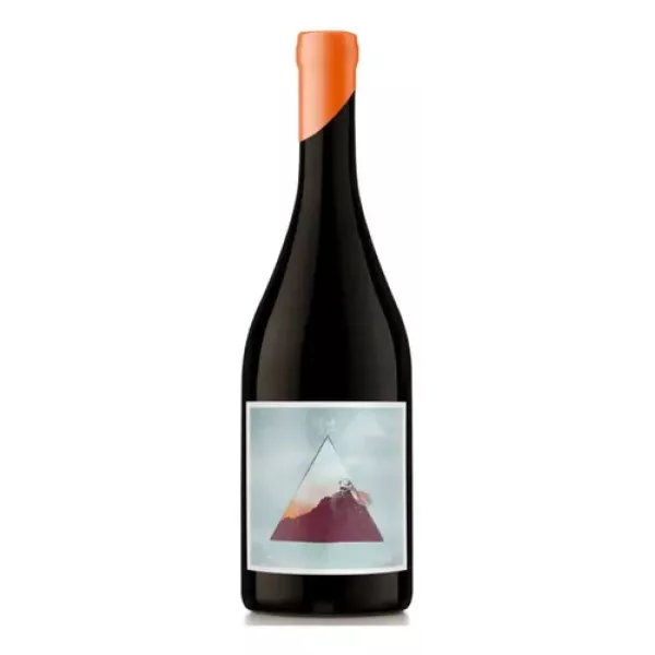 Nodo Cabernet Franc De Gualtallary