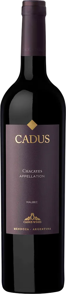 Cadus Chacayes Appellation Malbec